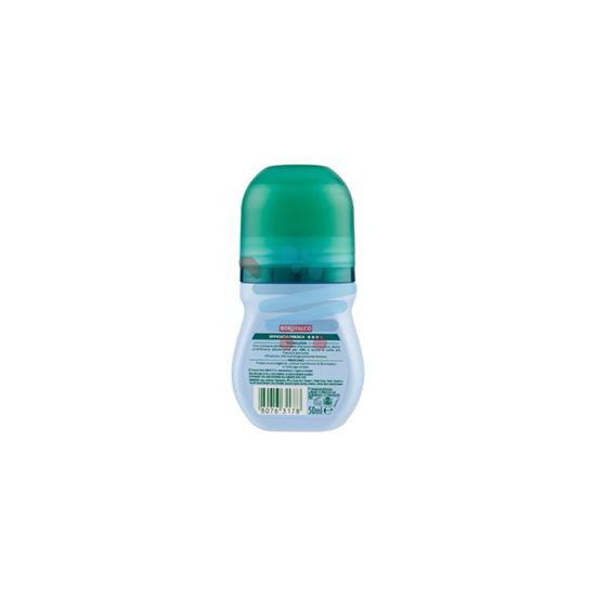 BOROTALCO DEODORANTE ROLL-ON ACTIV FRESH 50ML