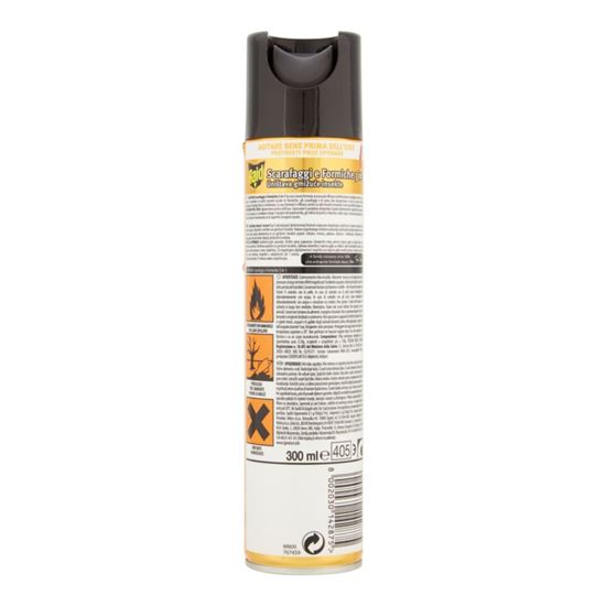 RAID MAX SCARAFAGGI E FORMICHE 3IN1 300 ML