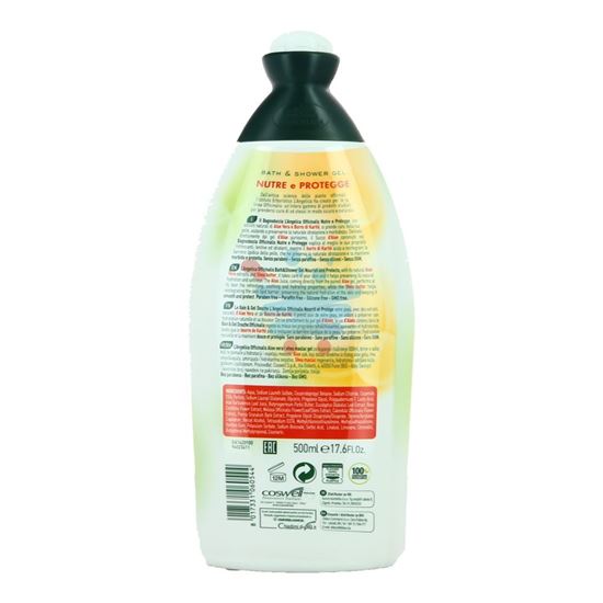 L'ANGELICA OFFICINALIS ALOE VERA E BURRO DI KARITE' BATH & SHOWER GEL 500 ML