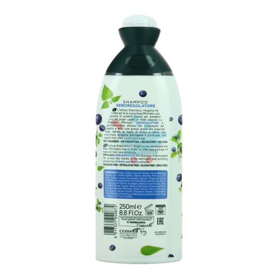 L'ANGELICA SHAMPOO SEBOREGOLATORE 250ML