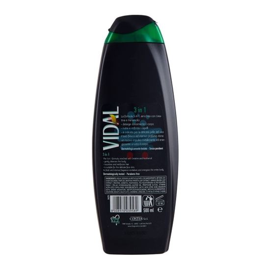 VIDAL BAGNO DOCCIA SHAMPOO 3IN1 PEPPERMINT & GINKO 500ML