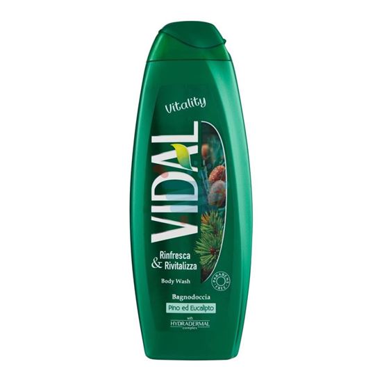 VIDAL BAGNO ORIGINAL PINO 500ML