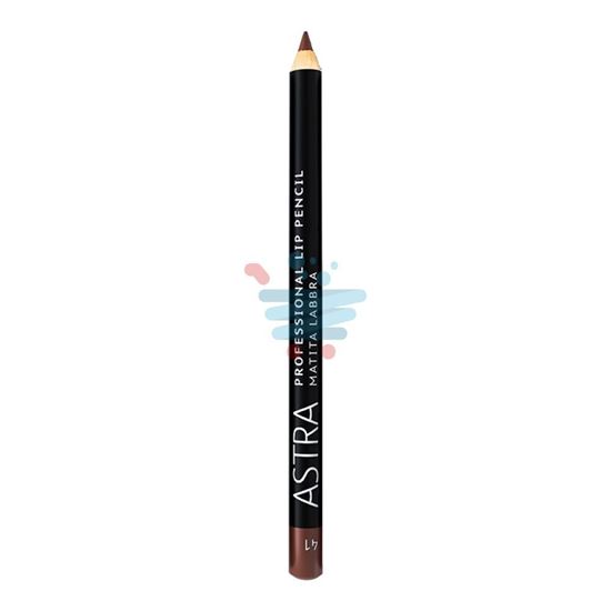 ASTRA PROFESSIONAL LIP PENCIL MATITA LABBRA 41