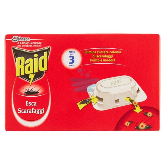 RAID ESCA SCARAFAGGI