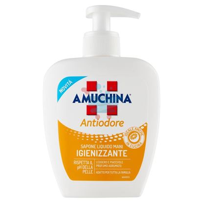 AMUCHINA SAPONE LIQUIDO MANI ANTIODORE IGIENIZZANTE 250ML