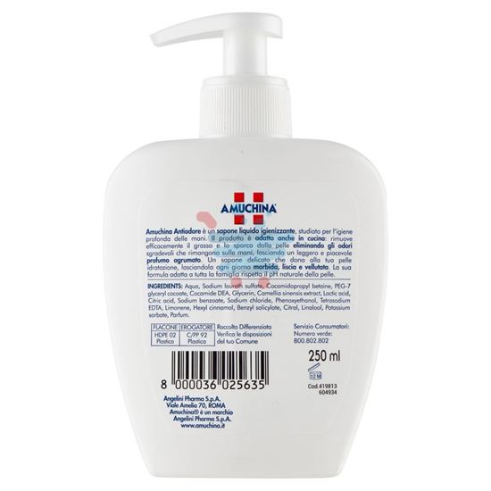 AMUCHINA SAPONE LIQUIDO MANI ANTIODORE IGIENIZZANTE 250ML