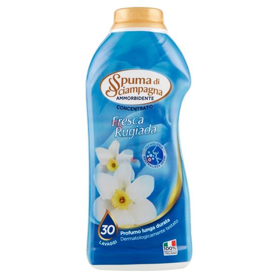 SPUMA DI SCIAMPAGNA AMMORBIDENTE CONCENTRATO FRESCA RUGIADA 600ML